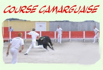 course camarguaise